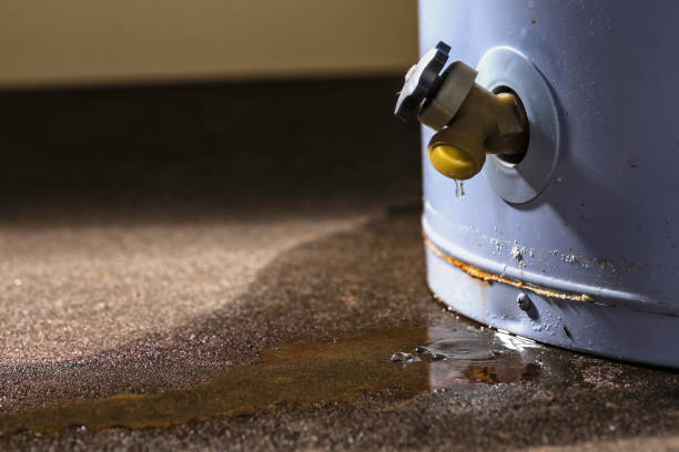 Best Water damage restoration cost  in South Park, WY