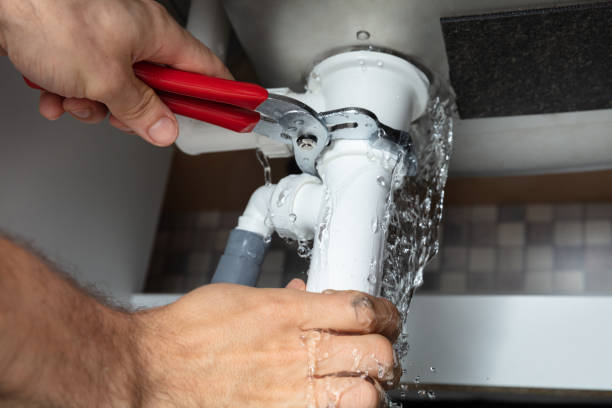 Best Flood restoration services  in South Park, WY