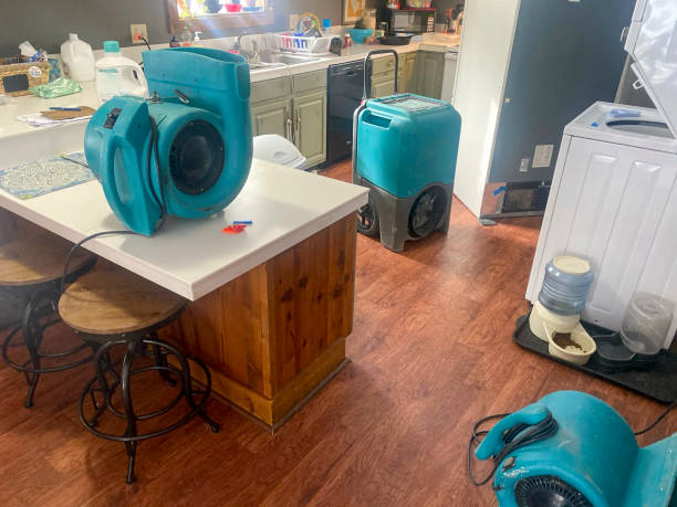 Best Water damage restoration near me  in South Park, WY