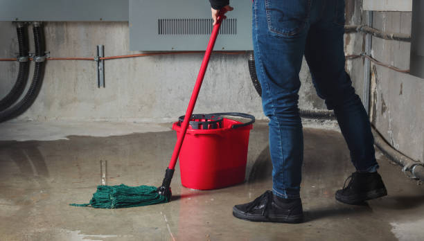 Best Water damage restoration company  in South Park, WY