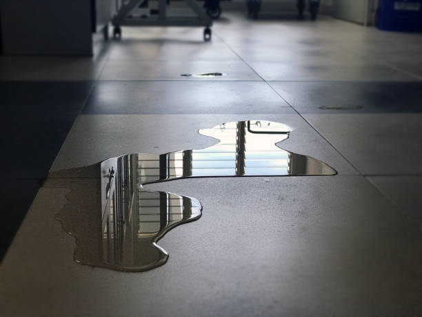 Best Professional water damage repair  in South Park, WY