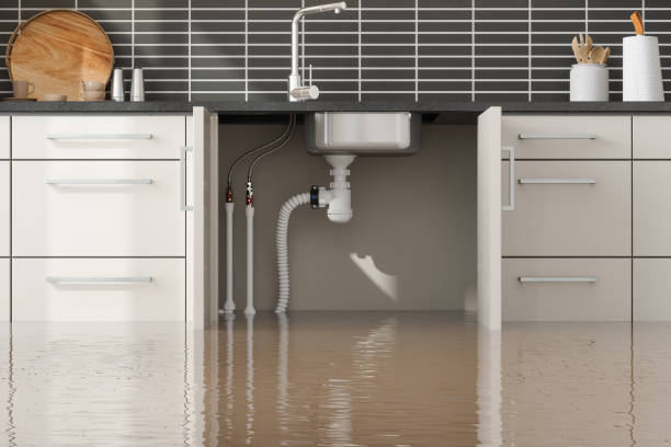 Reliable South Park, WY Water damage restoration Solutions