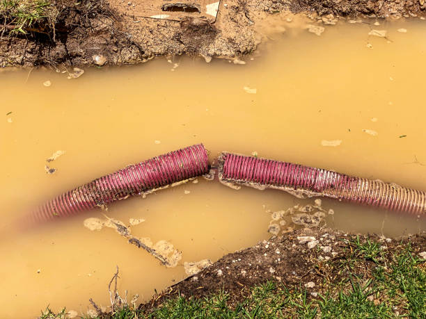 Best Water damage restoration near me  in South Park, WY