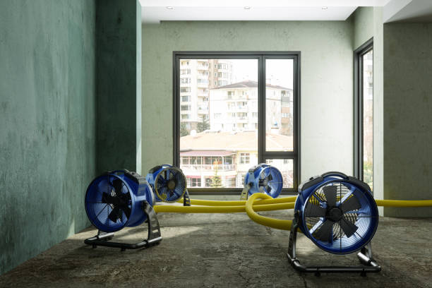 Best 24-hour water damage restoration  in South Park, WY