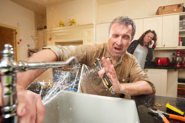 Best Sewage cleanup and water damage restoration  in South Park, WY